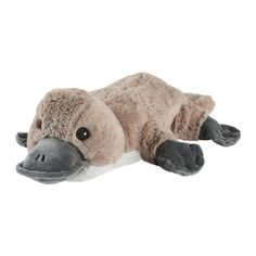 The Warmies Junior Platypus will keep you warm this winter.  The Junior Soft Toys offer all the benefits of our large plush toys, with the added advantage of being the perfect size of 9” for a small gift, or even a stocking filler when the festive period comes around.  Warmies are not just for winter, you can use them all year round, on those hot summer days and nights use your Warmies to cool down. Simply place the entire product within a grip seal freezer bag and place in the freezer for 2–3 hours. The Warmies cold temperature can be used to cool your bed making it easier to get to sleep, it can also help to reduce inflammation and pain.   Additional Information:   Measures 9” (22 cm)  Soothes, Warms and Comforts.  Scented with French Lavender.  Chill in a Freezer for Cooling Relief.  Su Super Cute Animals, Platypus, Cold Therapy, Lavender Scent, Mini Me, Funny Things