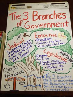 the three branches of government on a whiteboard with words and pictures written below it