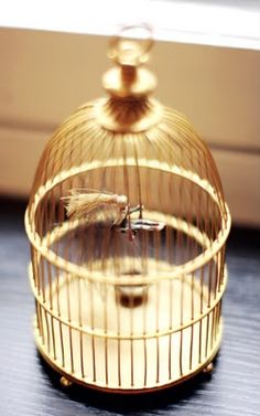 Golden Cage, Chanel Ad, Gilded Cage, Golden Bird, Parfum Chanel, Birdcages, Vanessa Paradis