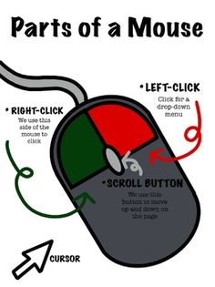 the parts of a mouse are labeled in red, green and black