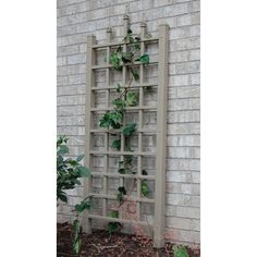 a trellis with plants growing on it in front of a brick wall