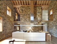 a dog is standing in the middle of a kitchen with stone walls and flooring