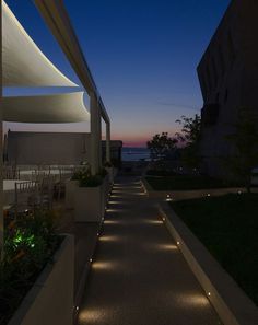 the walkway is lit up at night and has plants on both sides with lights in them