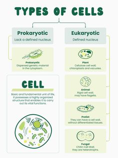 the different types of cells in an animal's body and how to use them