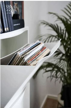 a white shelf with books and magazines on it next to a potted palm tree