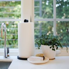 a kitchen counter with a plant and soap dispenser