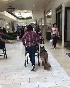 a man in a wheel chair with a dog on his leash walking down the mall