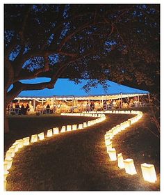 a path made out of paper lanterns is lit up at night