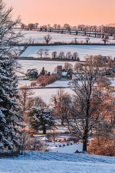 a snowy landscape with trees and houses in the distance