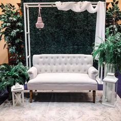 a white couch sitting on top of a rug next to a green wall and potted plants