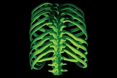 the skeleton glows green in the dark, while it appears to be glowing from behind