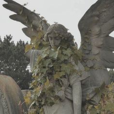 an angel statue surrounded by ivy and leaves