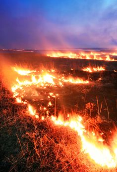 a field that has some fire burning in it