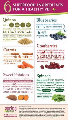 the health benefits of carrots and blueberries are shown in this info sheet, which includes