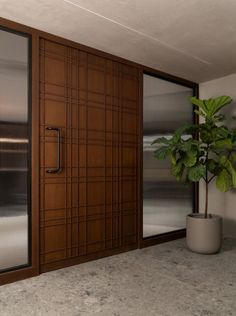 a potted plant sitting in front of a wooden door with glass panels on it