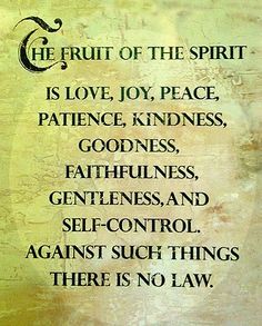 the fruit of the spirit is love, joy, peace, patience, kindness, goodness, godlessness, and self - control against such things there is no law