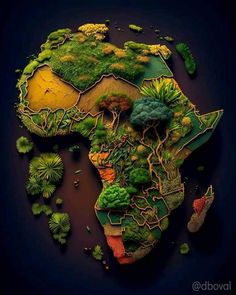 the map of africa is made up of trees, bushes and other things in it