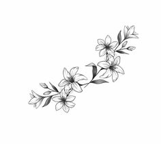 Lilly Flower Tattoo, Lillies Tattoo, Lily Tattoo Design, Lily Flower Tattoos, Flower Tattoo Drawings, Kunst Tattoos, Lilly Flower, Lily Tattoo, Tattoo Designs And Meanings