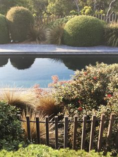 an empty pool surrounded by bushes and shrubbery