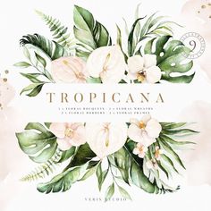 a watercolor floral arrangement with the words tropicana