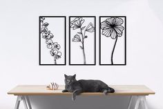 a black cat laying on top of a wooden table next to two framed flower pictures