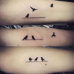 Sibling Tattoos For 3 Sisters 1 Brother, Brother 2 Sister Tattoo, Bird Sibling Tattoo, Beautiful Sister Tattoos, Family Friend Tattoos, Sibling Tattoos Brother And 2 Sisters, Best Friend Different Aesthetic Tattoos, Bird Friend Tattoo, Sibling Tattoos For 3 2 Brothers 1 Sister