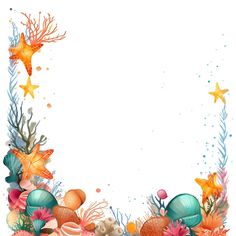 an underwater scene with corals, starfish and other marine life on a white background