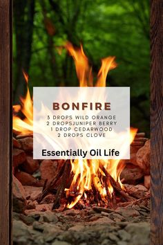 Essential Oil Bonfire Campfire Diffuser Blend featuring doTERRA Essential oils . #campfirescent #bonfire #naturefragrance #naturescent #outdoors #diffuserblend #essentialoils #essentialoilblend #doterra #doterraoils #doterraessentialoils #doterradiffuser #wildorange #juniperberry #cedarwood #cloveoil #camping Campfire Essential Oil Blend, Incense Ideas, Essential Oil Roller Bottle Recipes, Diy Essential Oil Recipes, Essential Oils For Massage