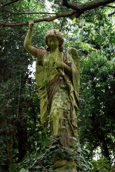 an angel statue in the middle of a forest with vines on it's back