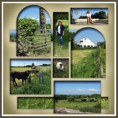 a collage of photos with animals and people in the background on a farm field