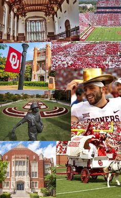 the collage shows many different images of college football players and their stadium decorations, including a horse drawn carriage