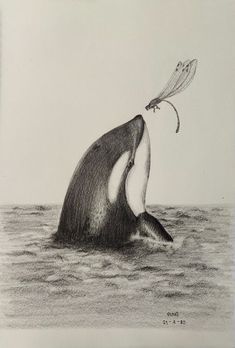 a drawing of a whale jumping out of the water