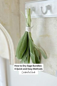 a bunch of sage leaves hanging from a hook on a wall with the words how to dry sage bundles 4 quick and easy method