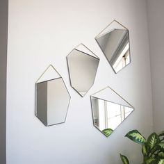 three mirrors hanging on the wall next to a potted plant