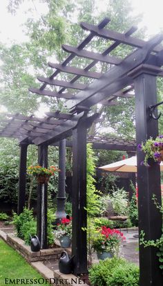 an outdoor garden with lots of plants and flowers on the ground, along with a pergolan