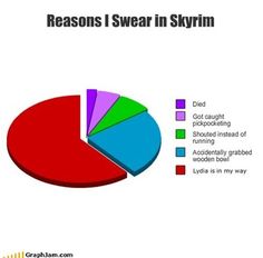 a pie chart with the words reason i swear in skyrim on it and an image of