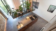 an aerial view of a living room and kitchen area with plants on the counter top