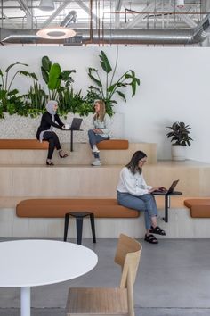 two women sitting on benches using laptops in an open space with potted plants