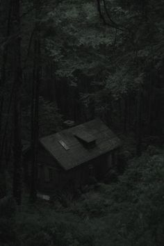 an old house in the middle of a forest with dark trees and leaves around it