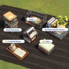 an image of a computer game with books and other items on the ground in front of them