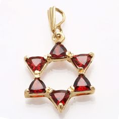 14k Yellow Gold Garnet Jewish Star of David Pendant - JewelryJudaica Jewish Artwork, Jewish Star Necklace, Jewish Star, January Birthday, Star Of David Pendant, Jewish Jewelry, Book Jewelry, Garnet Pendant, Butterfly Clips