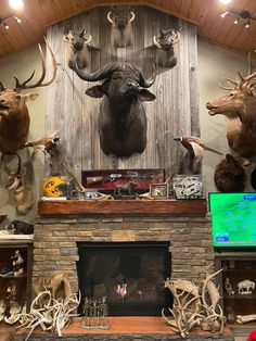 deer heads are mounted on the wall above a fireplace