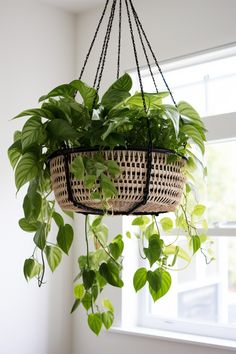 This article explores ten creative plant containers and hanging solutions for effectively displaying plants in bathrooms of all sizes and layouts. Discover wall mounts, corner shelves, vertical gardens, and supplementary lighting setups to enliven your bathroom with lush, relaxing greenery. Hanging Plant For Bathroom, Corner Hanging Plant, Hanging Plants Over Bathtub, Hanging Plants Above Bathtub, Bathroom Hanging Plants, Hanging Plant In Shower Ideas, Hanging Plant Ideas, Hanging Plants Shower Ceiling, Bathroom Plants Decor