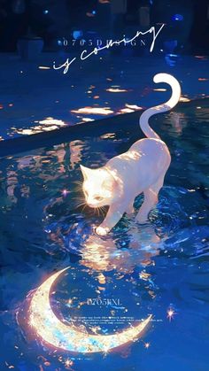 a white cat standing on top of a body of water next to a crescent moon