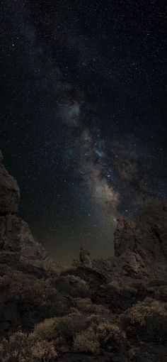 the night sky is filled with stars above some rocky hills and bushes in the foreground