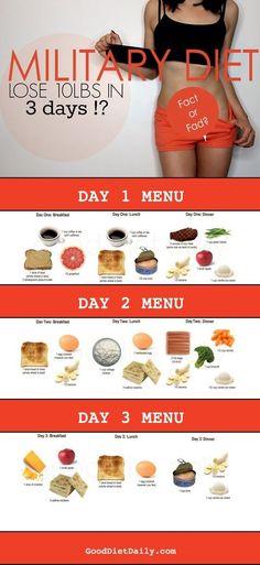 fitnessforevertips: “Get fit & stay fit! ” Muscle Gain Workout, Weight Gain Diet, Balanced Diet Plan, 3 Week Diet, Fat Loss Diet Plan, Calorie Calculator, Makanan Diet, Fat Loss Diet