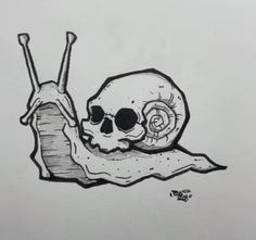 a drawing of a snail with a skull on it