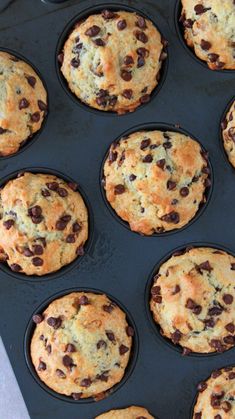 chocolate chip muffins in a baking pan ready to be baked