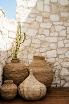 three vases sitting next to each other in front of a stone wall and cactus