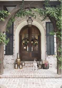 a dog is standing in front of a door with shutters and wreaths on it